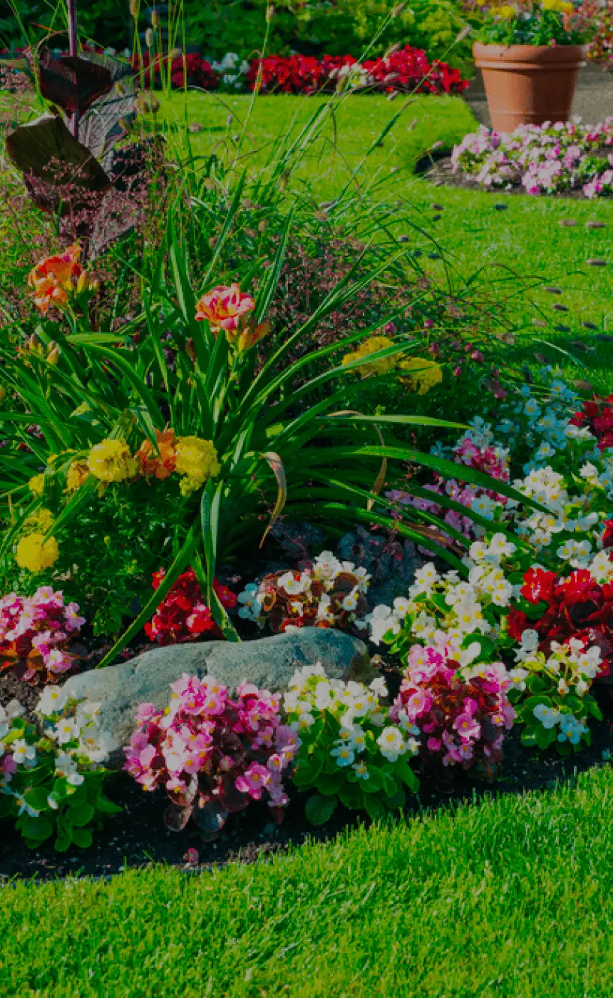 Professional landscaping services in Dutchess County NY