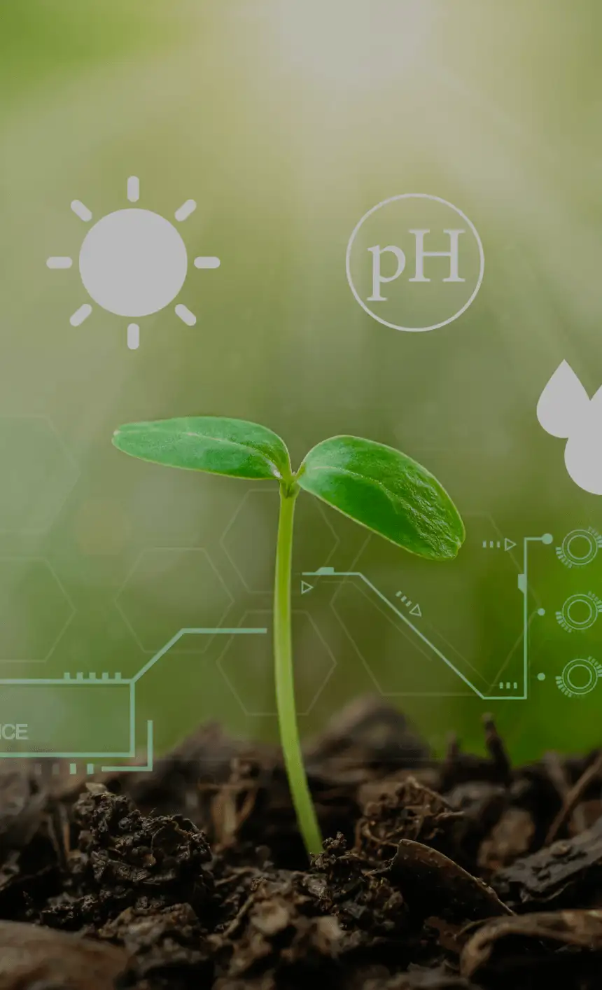 Dutchess County Plant Analysis and Diagnostic