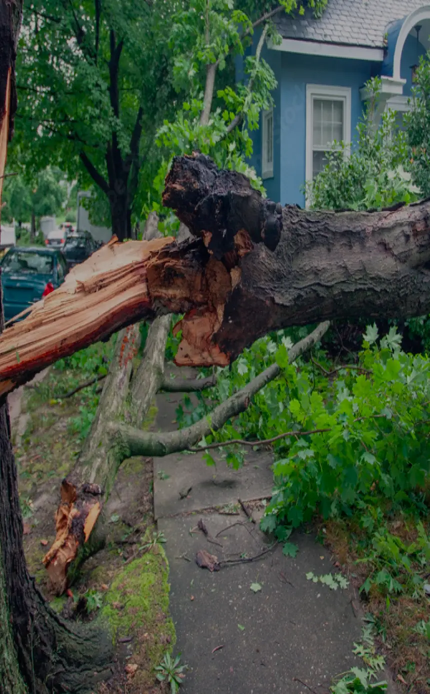 Dutchess County Storm Damage Services