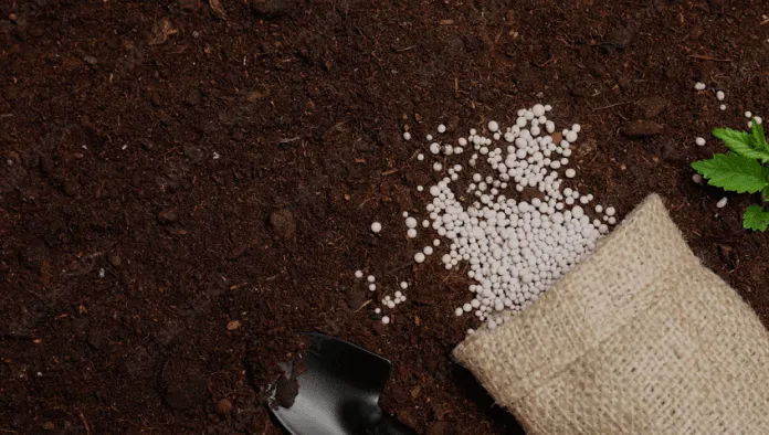 Fertilization & Soil Care