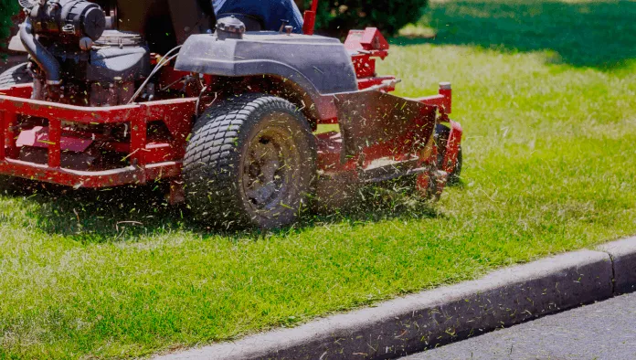 Lawn Care & Maintenance