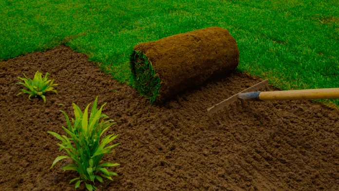 Turf & Plant Health Care